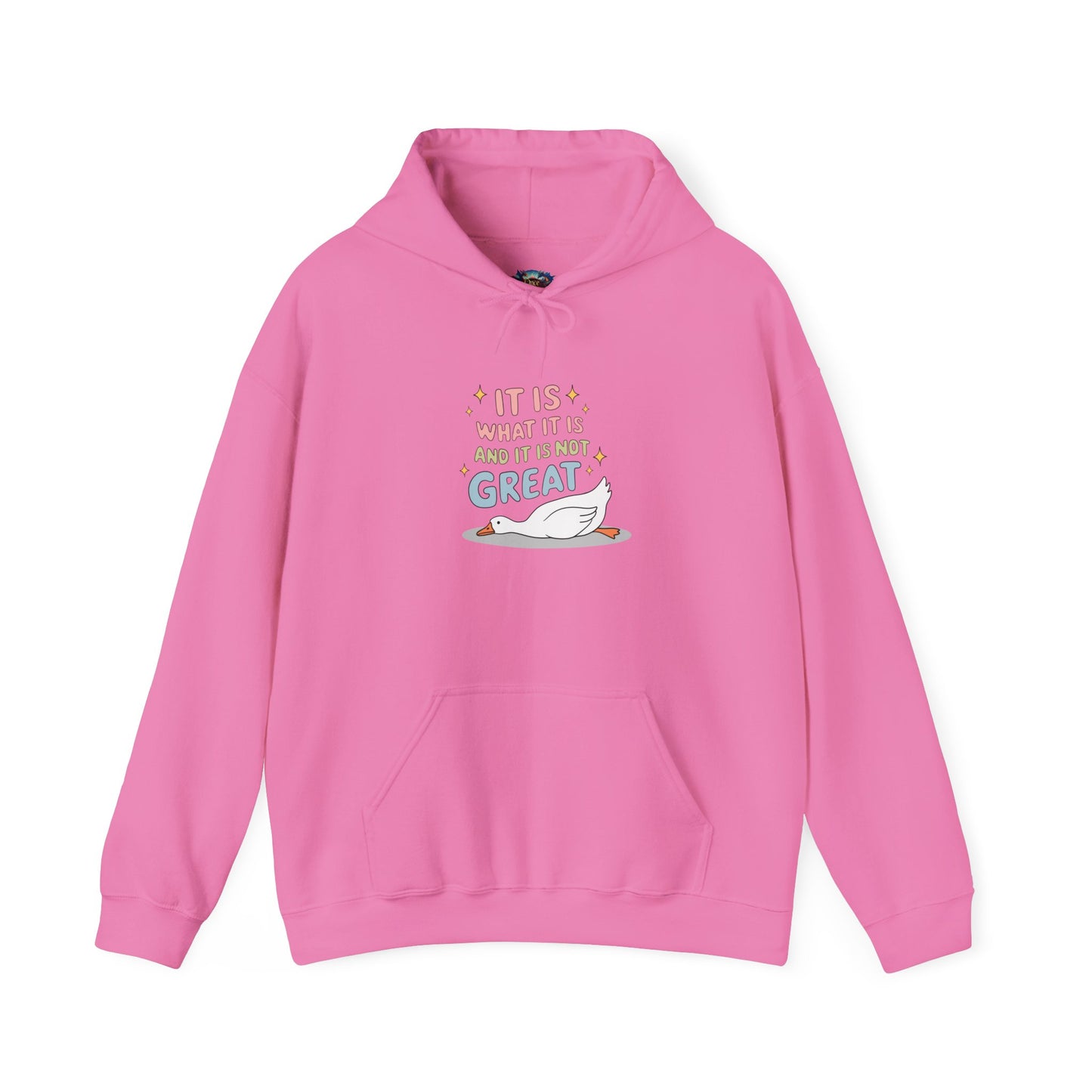 It Is What It Is (and It’s Not Great) Hoodie