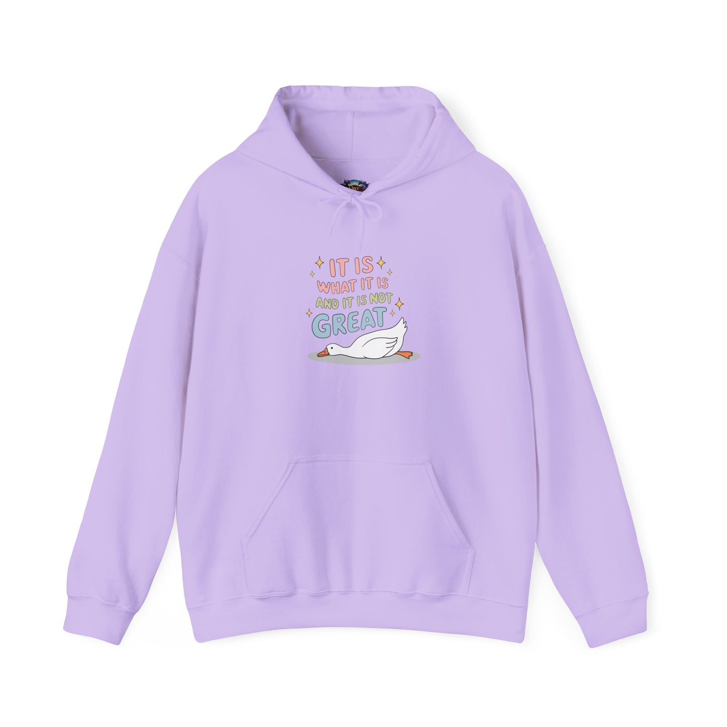 It Is What It Is (and It’s Not Great) Hoodie