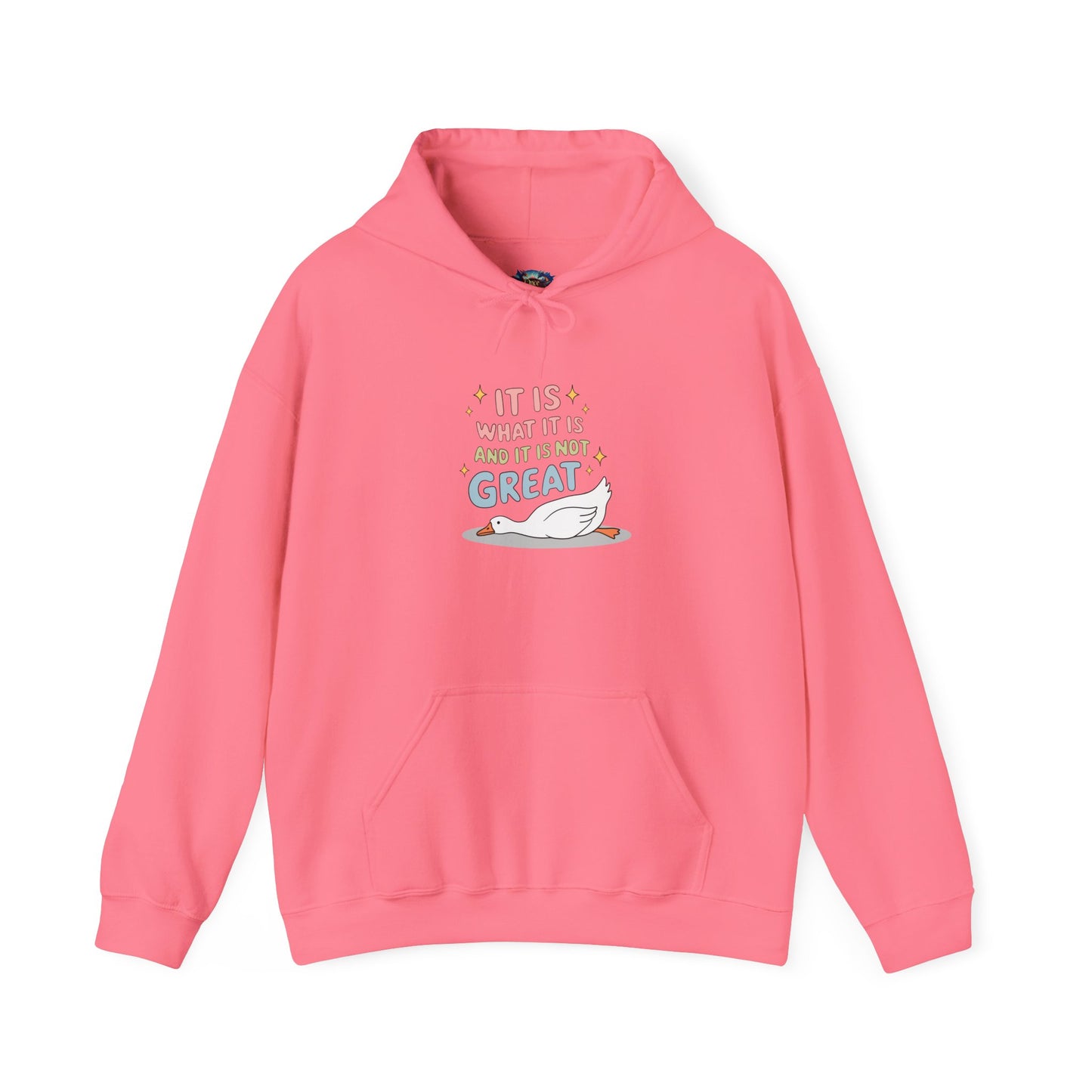 It Is What It Is (and It’s Not Great) Hoodie