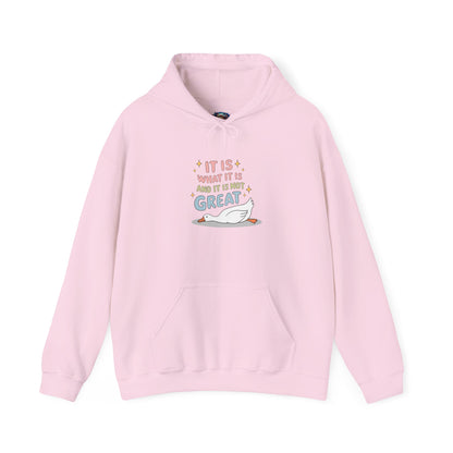 It Is What It Is (and It’s Not Great) Hoodie