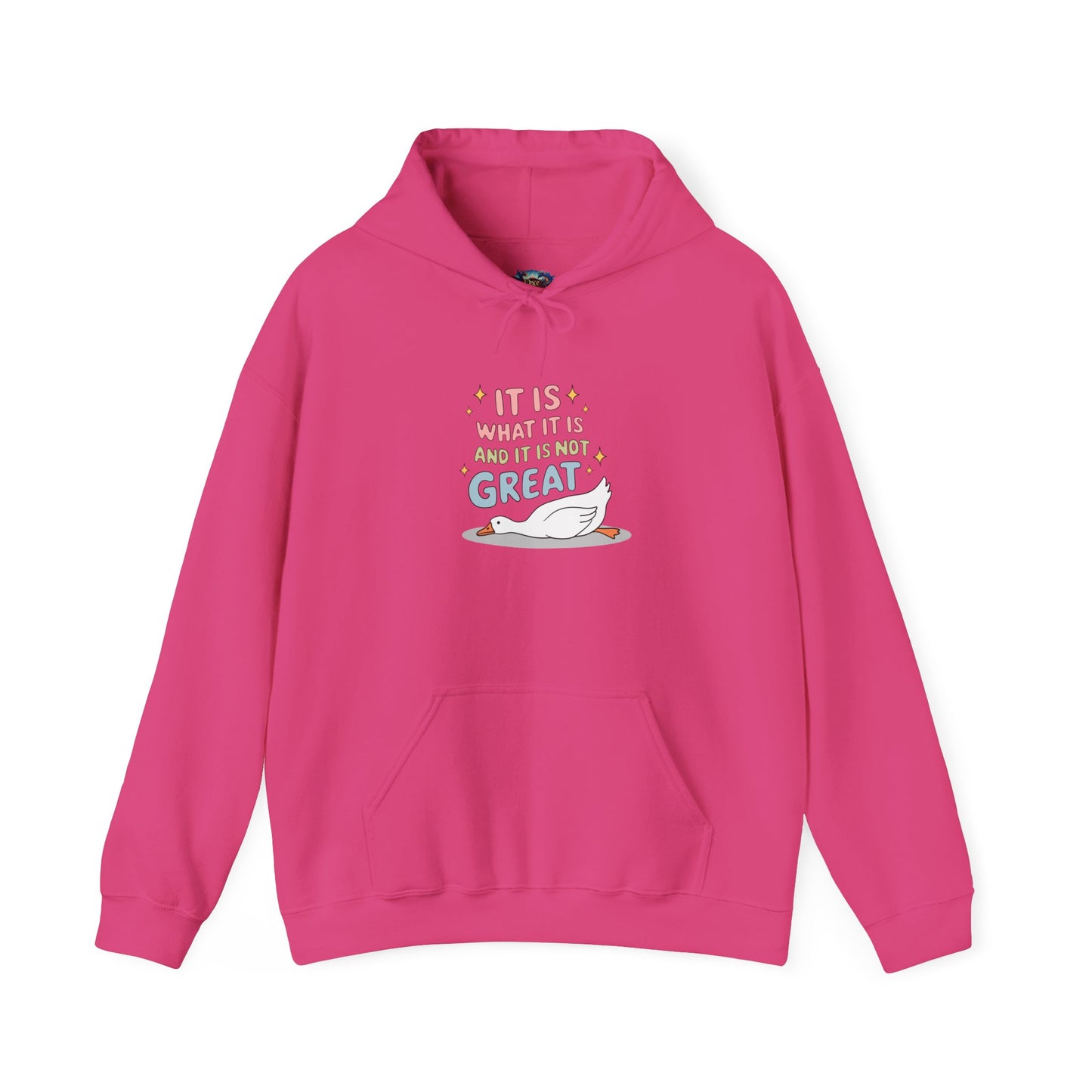 It Is What It Is (and It’s Not Great) Hoodie