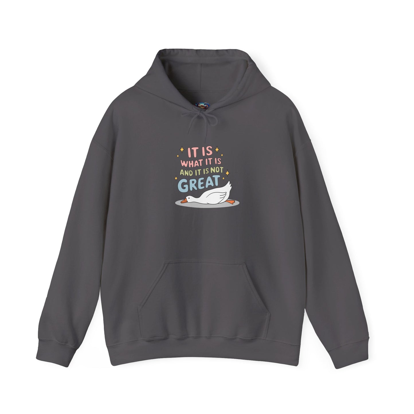 It Is What It Is (and It’s Not Great) Hoodie