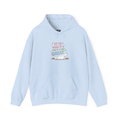 It Is What It Is (and It’s Not Great) Hoodie