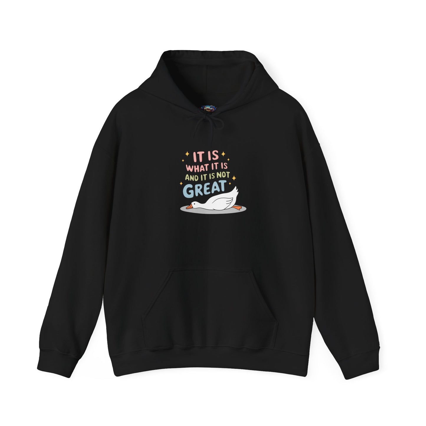 It Is What It Is (and It’s Not Great) Hoodie