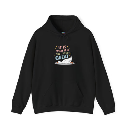 It Is What It Is (and It’s Not Great) Hoodie