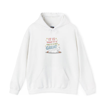 It Is What It Is (and It’s Not Great) Hoodie