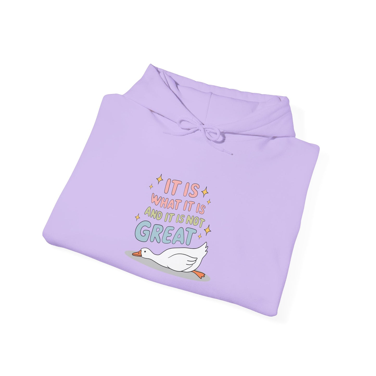 It Is What It Is (and It’s Not Great) Hoodie