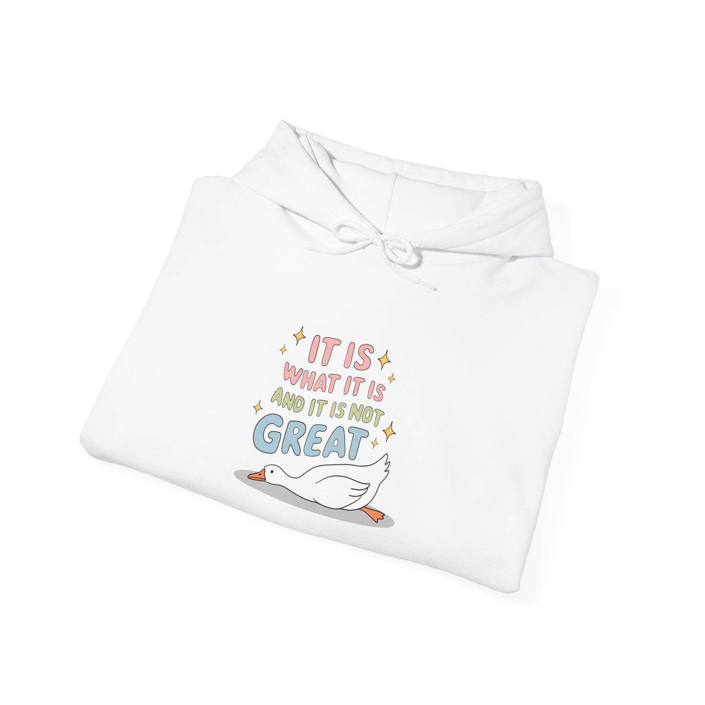 It Is What It Is (and It’s Not Great) Hoodie